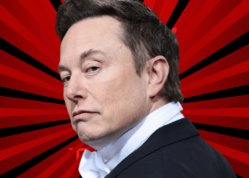 2024 Yılı Elon Musk için Nasıl Geçti?