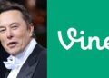Vine Geri Mi Dönüyor? Popüler Platform Yeniden Gündemde!
