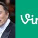 Vine Geri Mi Dönüyor? Popüler Platform Yeniden Gündemde!