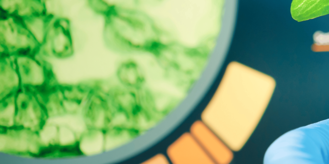 Yapay Zeka, 500 Milyon Yılda Evrimleşecek Proteini Saatler İçinde Kodladı!