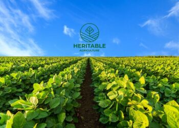 Heritable Agriculture: Google X, Yapay Zeka ile Tarımda Devrim Yaratıyor!
