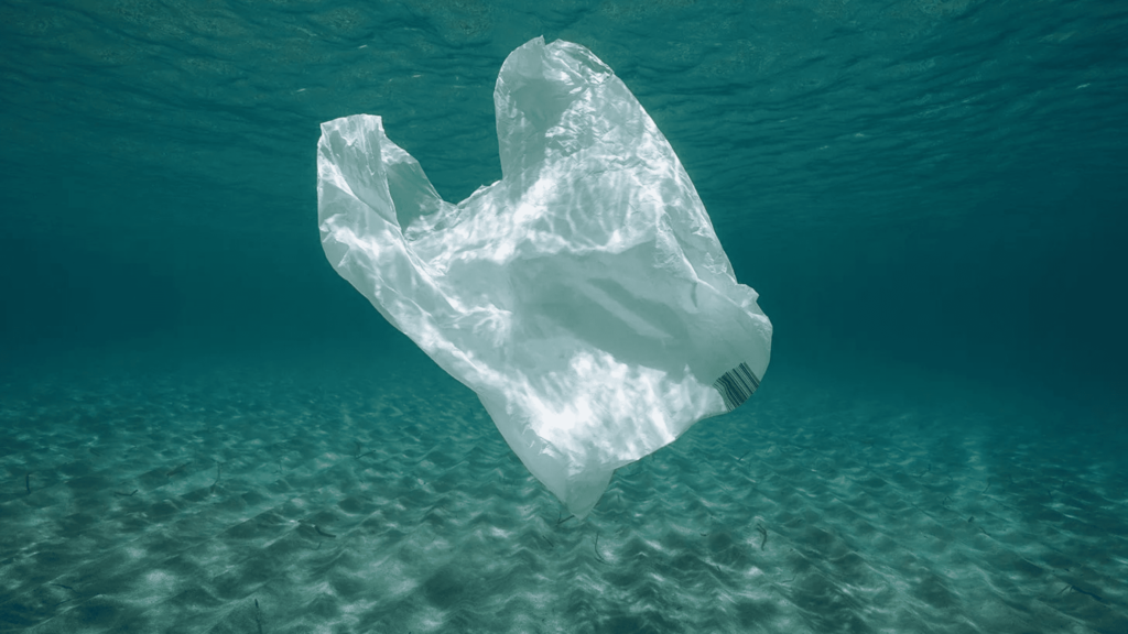 Japonya’dan Çığır Açan Plastik