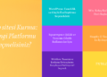 Web sitesi Kurma: Hangi Platformu Seçmelisiniz?