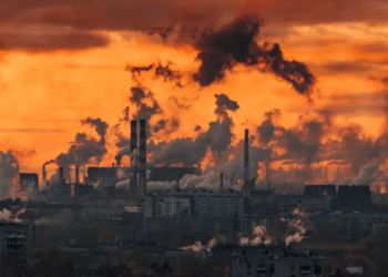 kömür atıklar PHNX