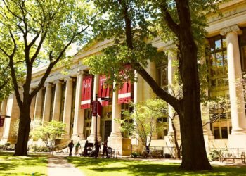 harvard üniversitesi