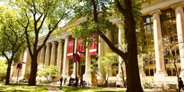 harvard üniversitesi