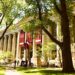 harvard üniversitesi