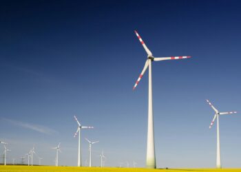 sürdürülebilirlik