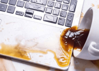 Dünyanın En Meşhur Kuralları