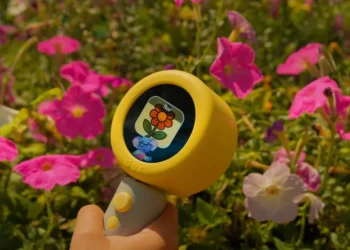 Dex, Çocuklara Yabancı Dil Öğreten Yapay Zekalı Kamera ile 4,8 Milyon Dolar Yatırım Aldı