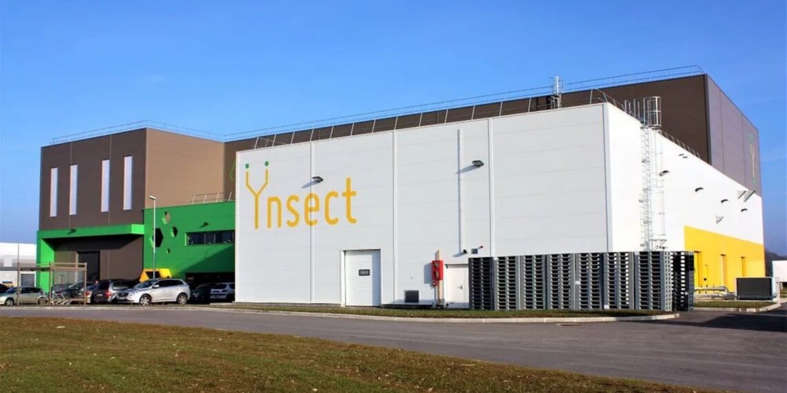 Ÿnsect, 600 Milyon Doların Üzerinde Yatırım Toplamış Fransız Girişimi İflas Etti