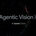 Gemini - Agentic Vision