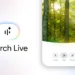 Google Search Live