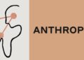 Anthropic