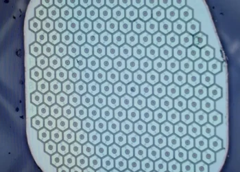 Neuralink Rakibinden Kritik Adım: Science Corp., İnsan Beynine İlk Sensörü Yerleştirmeye Hazırlanıyor