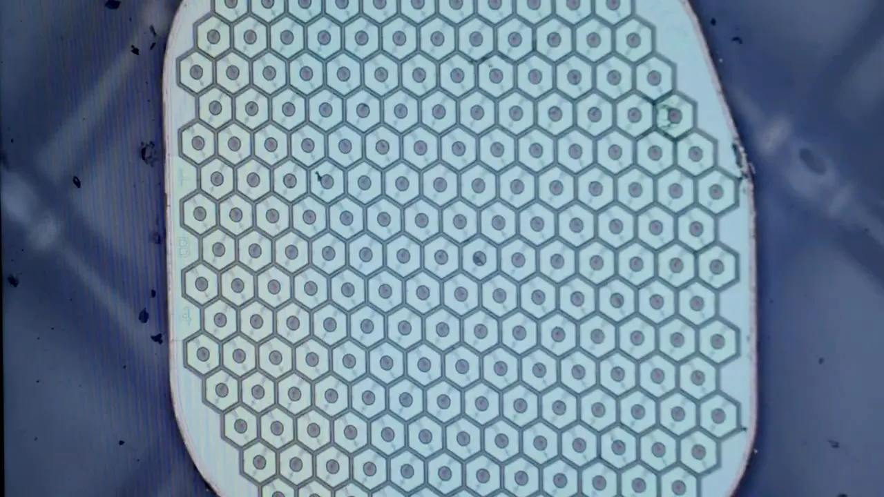 Neuralink Rakibinden Kritik Adım: Science Corp., İnsan Beynine İlk Sensörü Yerleştirmeye Hazırlanıyor