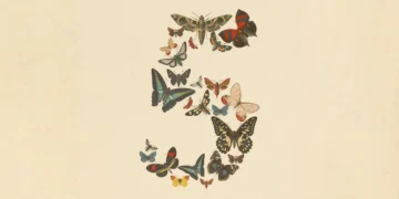 Claude Fable 5